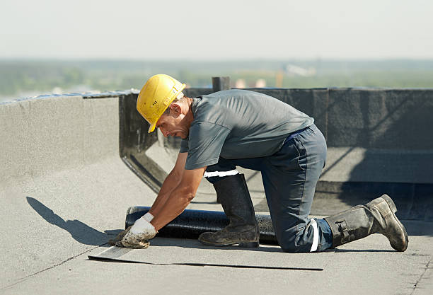 Best Local Insulation Services  in Fest Grove, OR